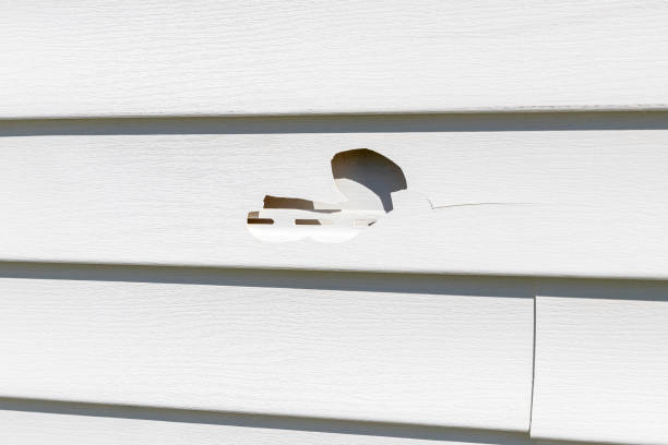 Same-Day Junk Removal Services in Walnut Creek, NC